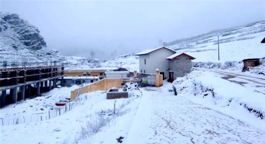 1591695729674422.jpg 6.jpg