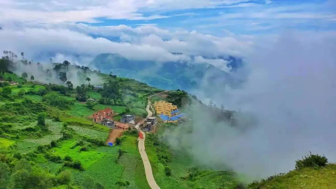 1618215686351389.jpg 1.2.jpg