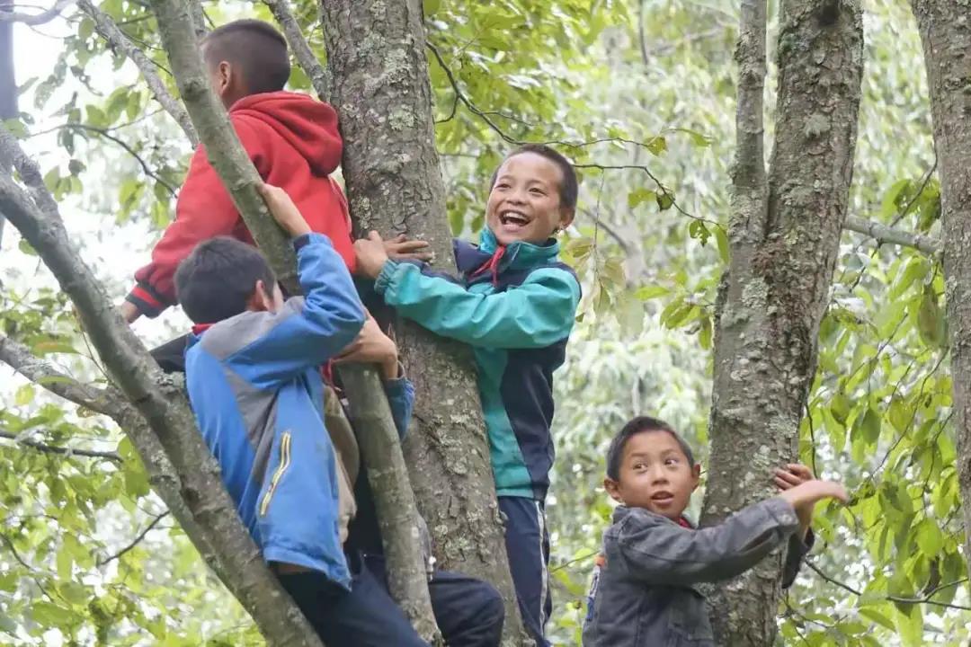 1618215763720050.jpg 2.2.jpg