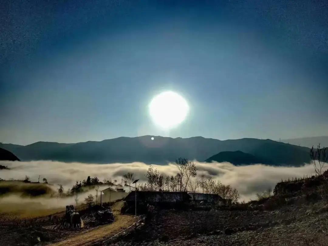 1618215989639379.jpg 5.1.jpg