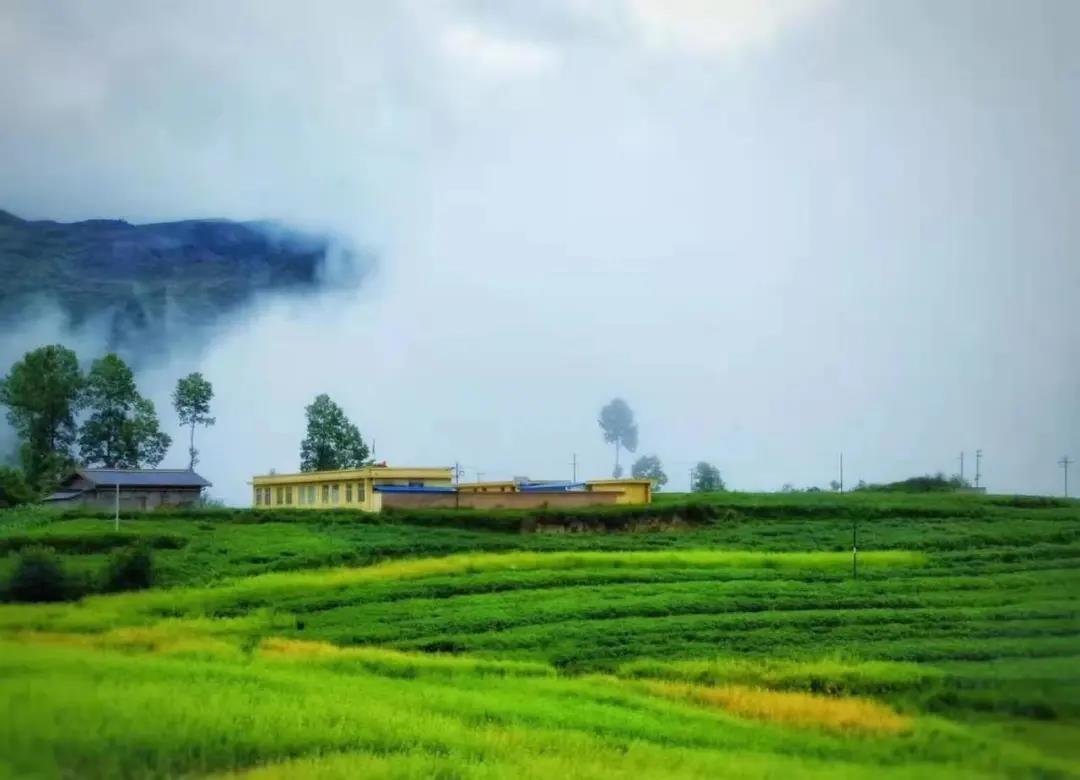 1618216156479965.jpg 9.jpg