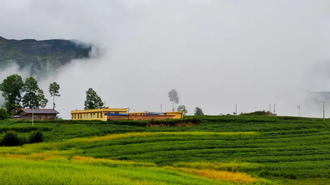 1618377172464525.jpg 1.jpg