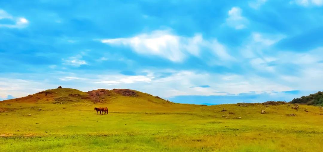 1618377607269974.jpg 8.jpg