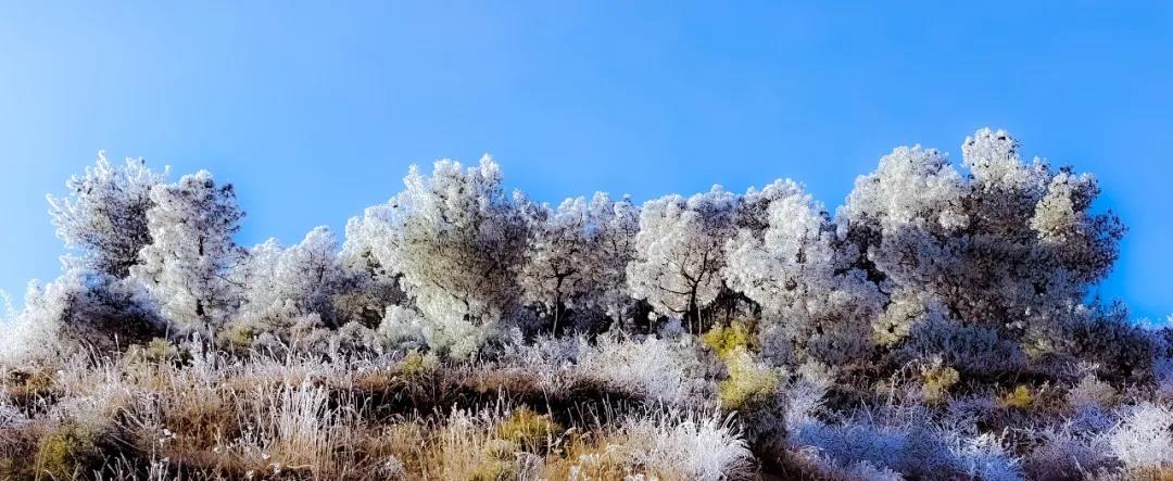 1618377692574579.jpg 10.jpg