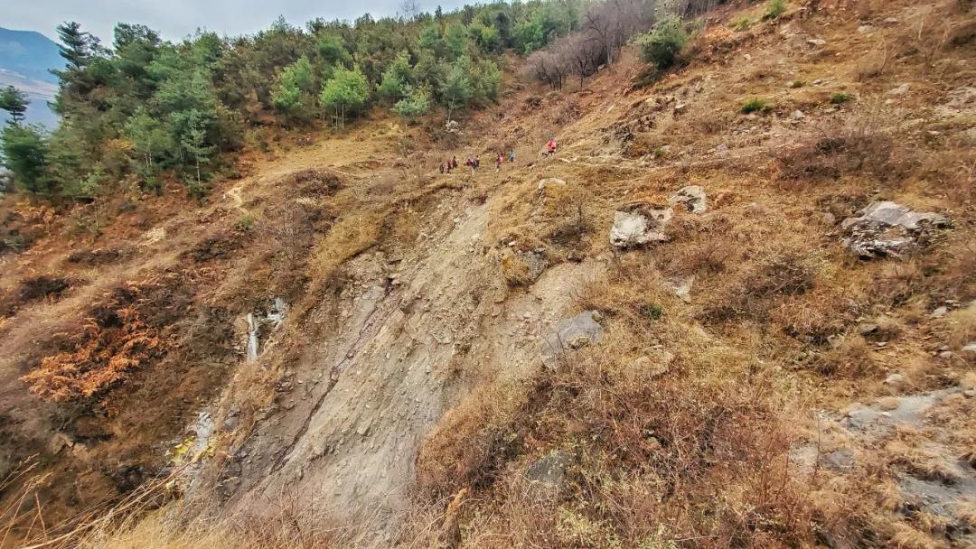 1618377734568717.jpg 11.1.jpg