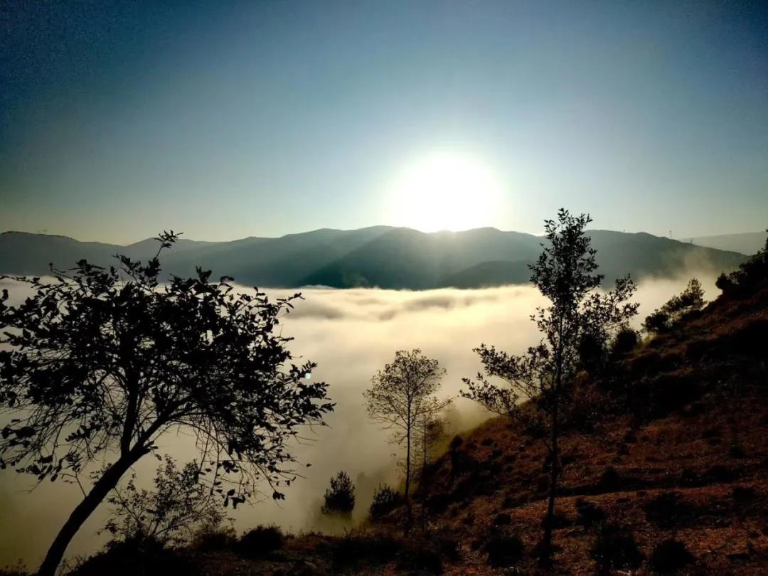 1618377803684557.jpg 13.jpg