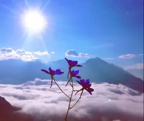 1618473221500915.jpg 10.jpg