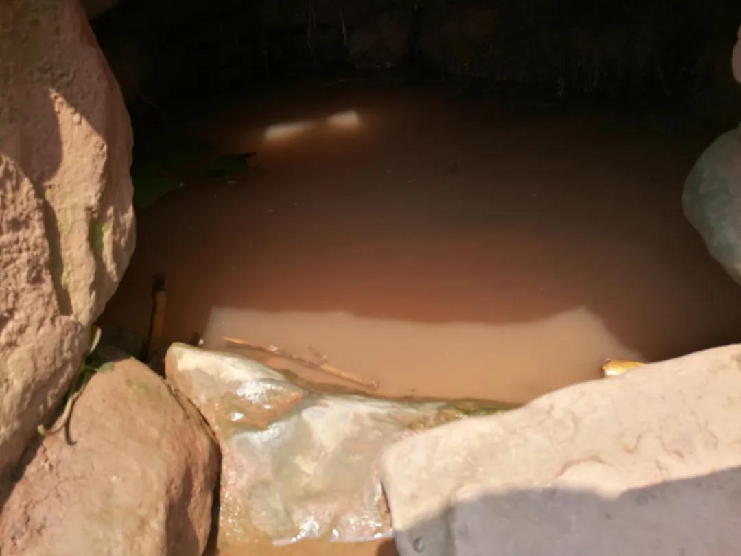 1619321587342299.jpg 5.jpg