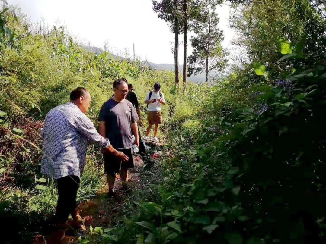 1619321645221343.jpg 6.2.jpg