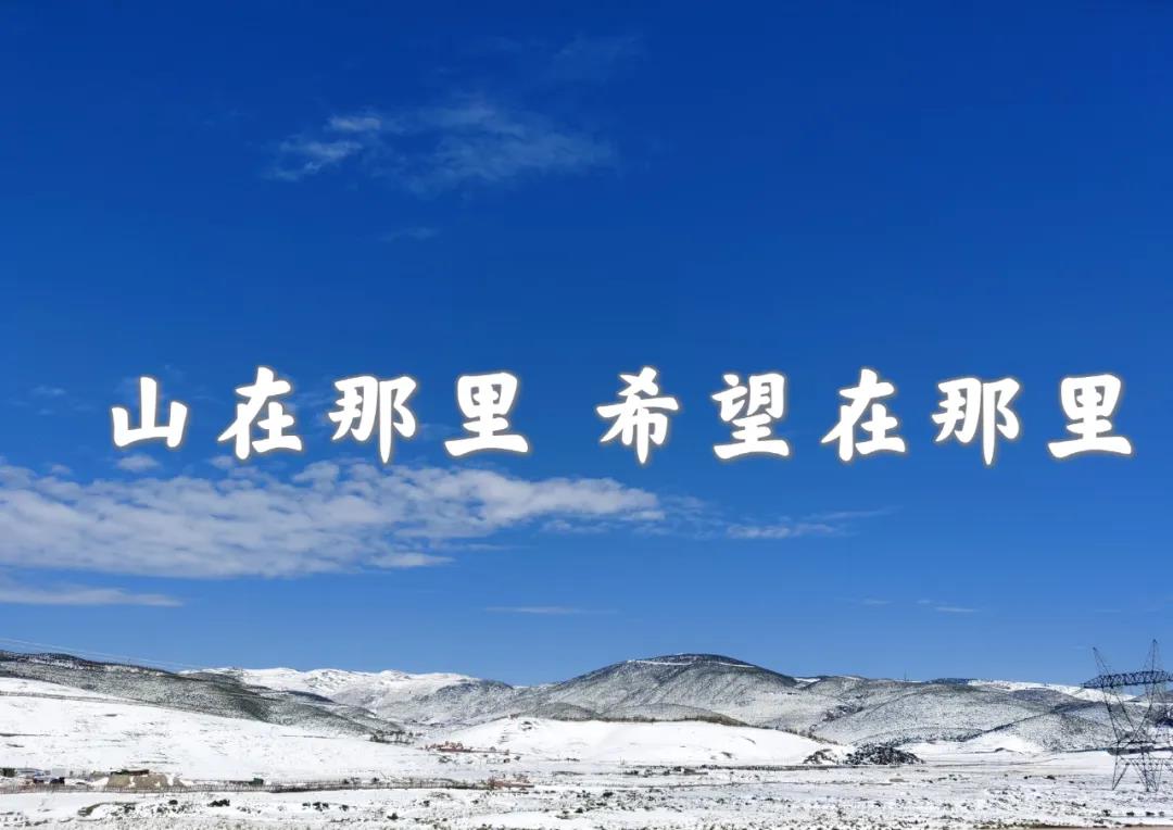 1619334515191595.jpg 1.jpg