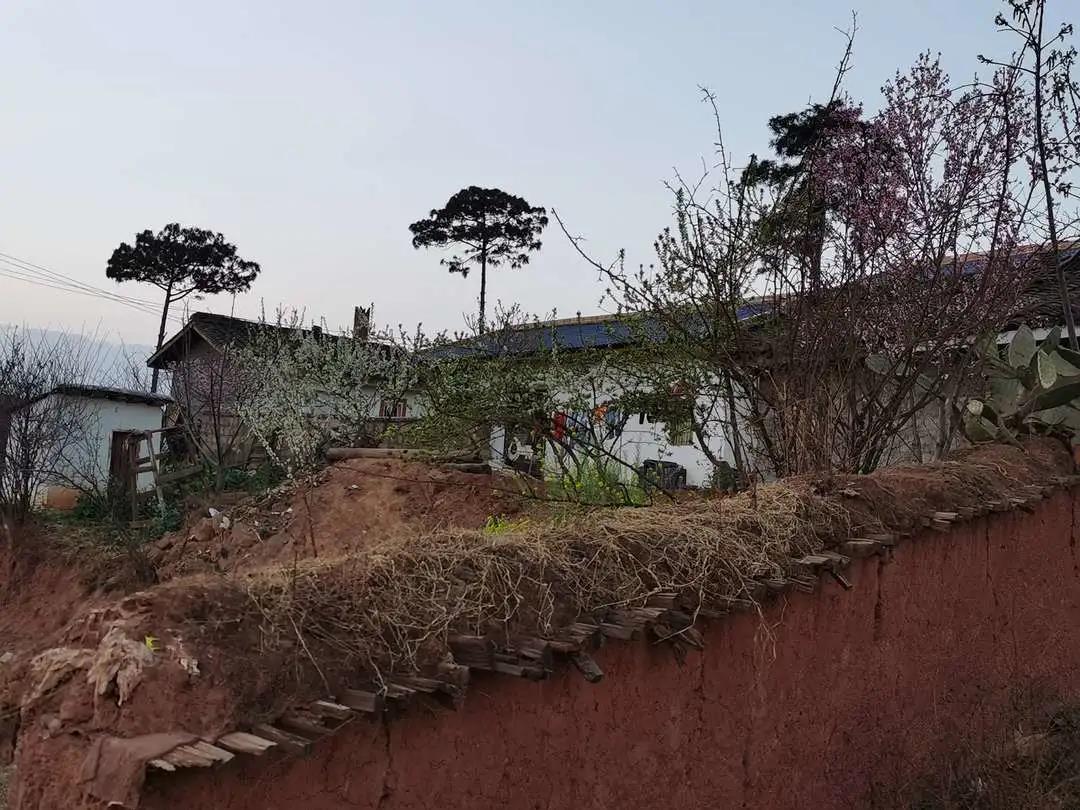 1620443835892625.jpg 8.1.jpg