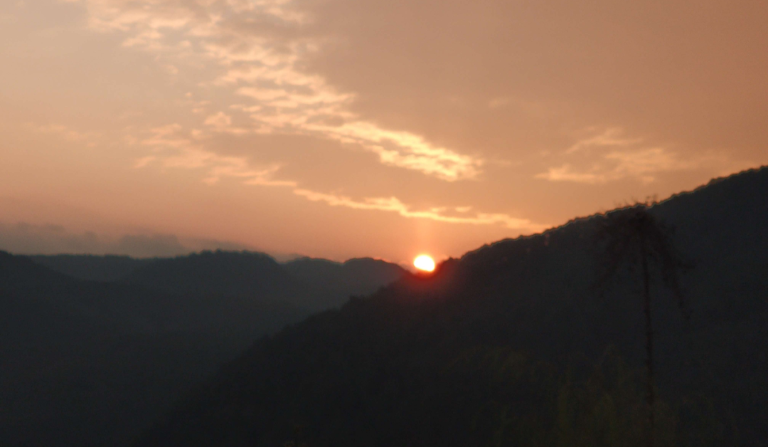 1620443877648892.png 9.png