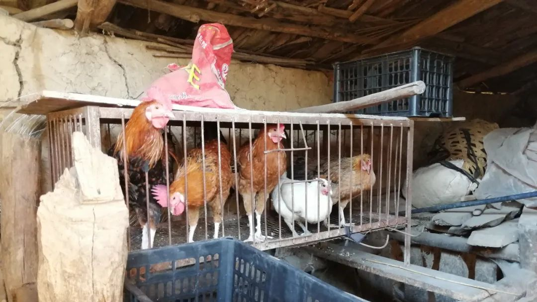 1627616401772299.png 微信图片_20210730113748.png