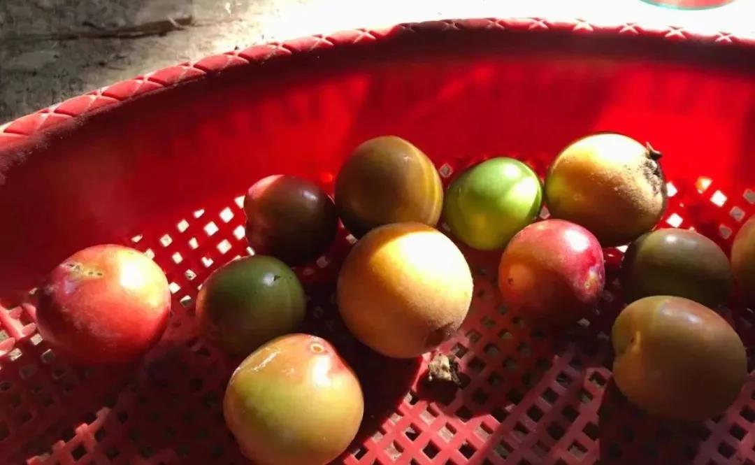 1627616689516130.jpg 微信图片_20210730113805.jpg