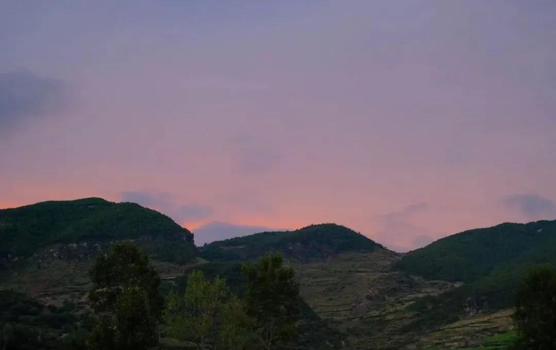 1633919577453649.jpg 5.jpg