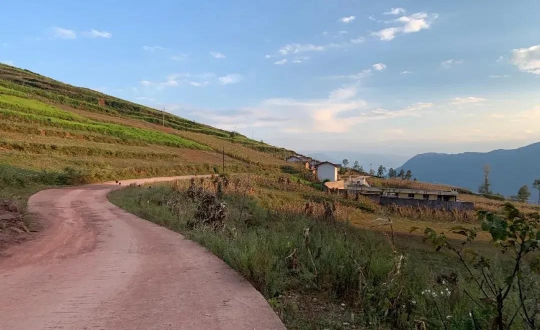 1633919677277915.jpg 9.jpg