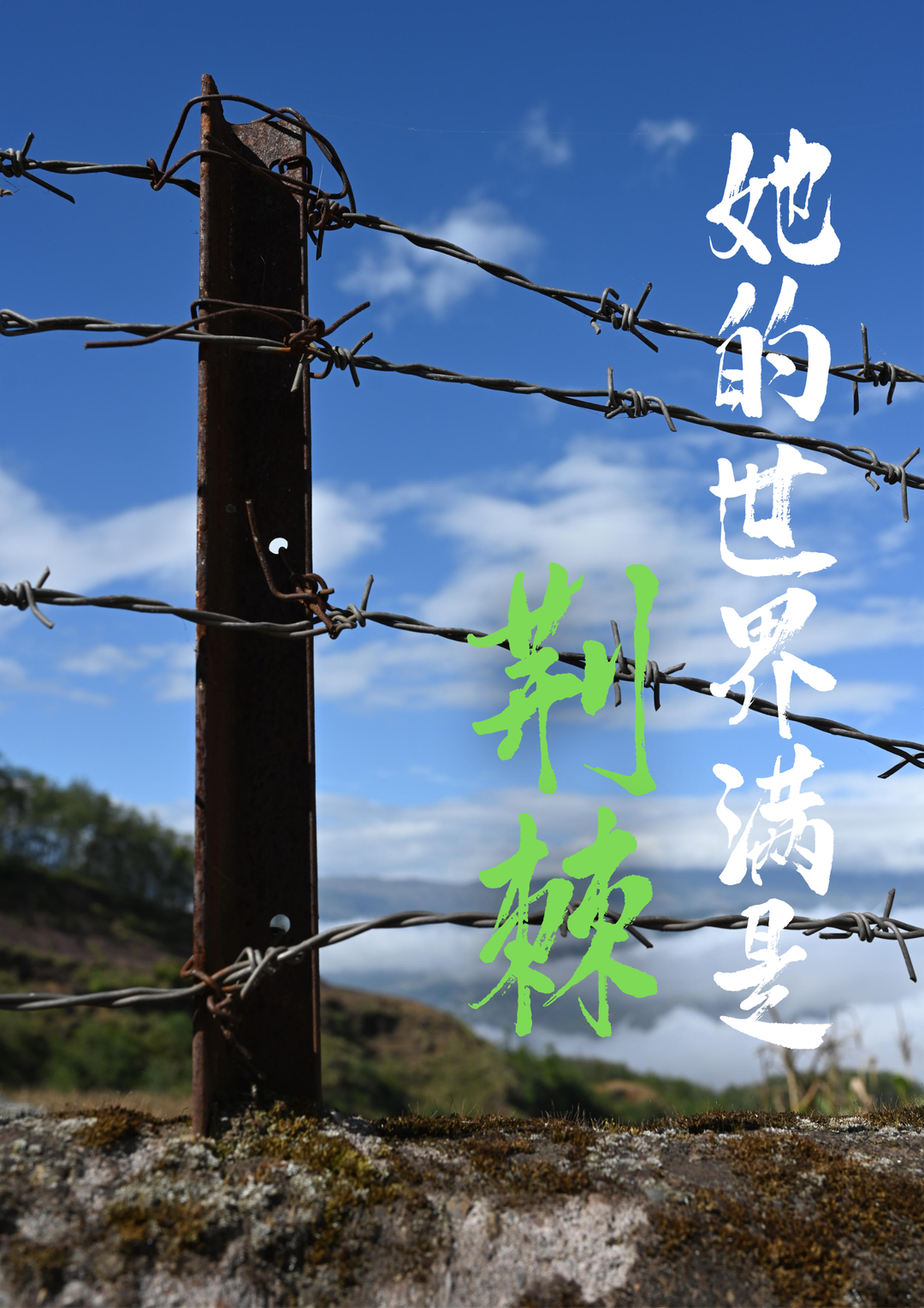 1666158560509070.png 1.png