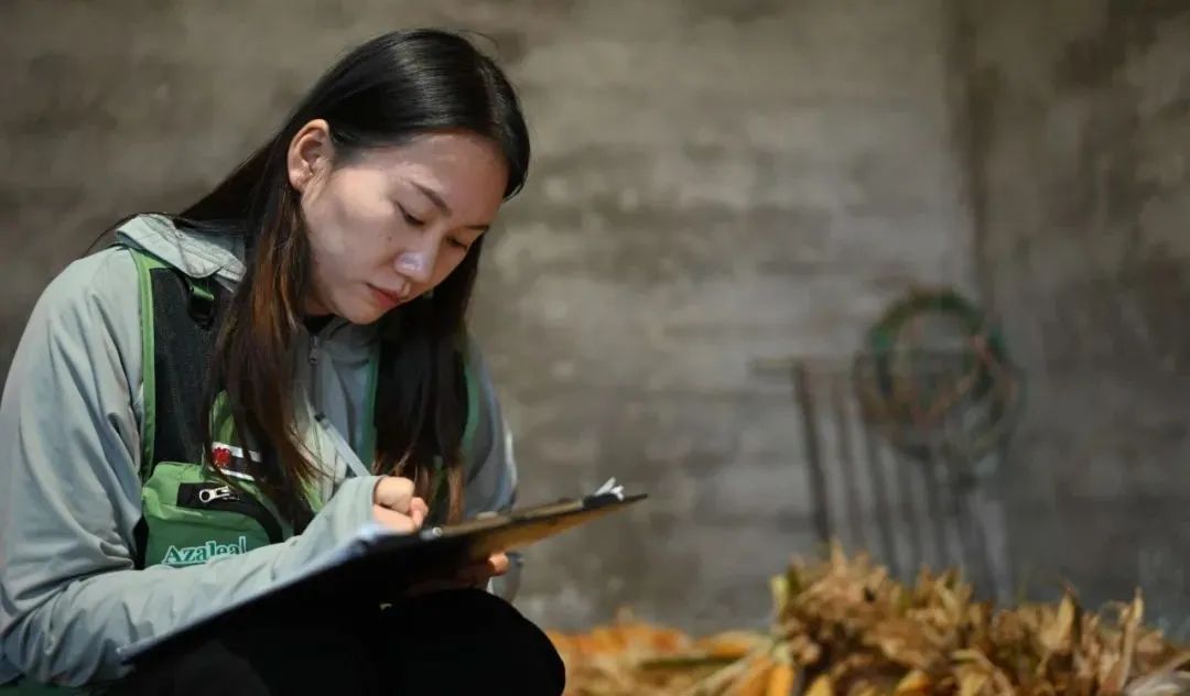 1666159538479618.jpg 13.jpg