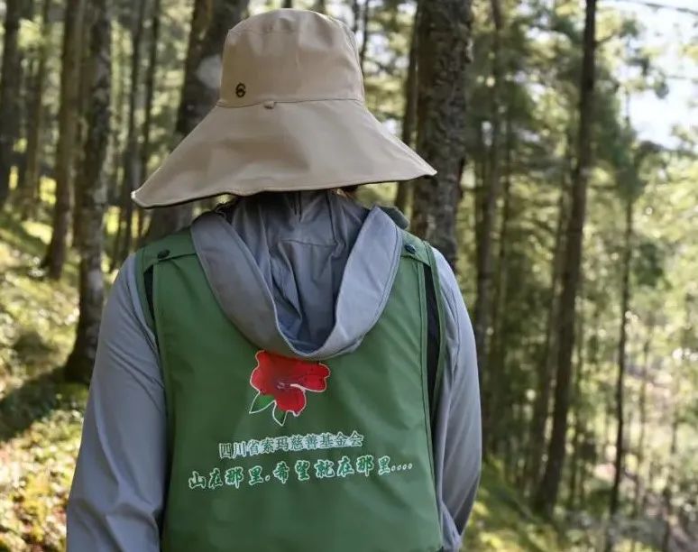 1666159586339458.jpg 14.jpg