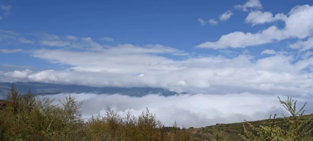 1666159621319204.jpg 15.jpg